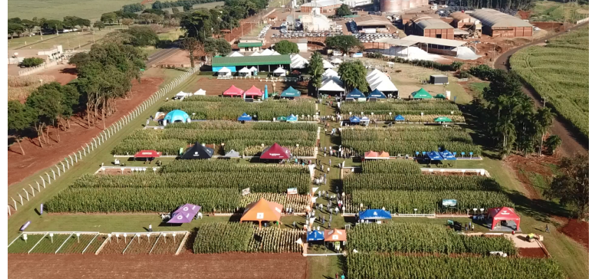 DIA DE CAMPO COAGRU MOSTRA NOVAS TECNOLOGICAS DE INVERNO