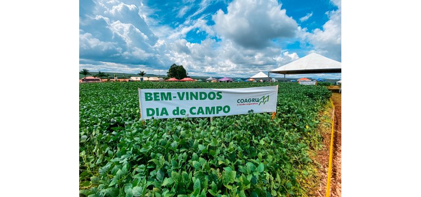 Dias de Campo Descentralizados