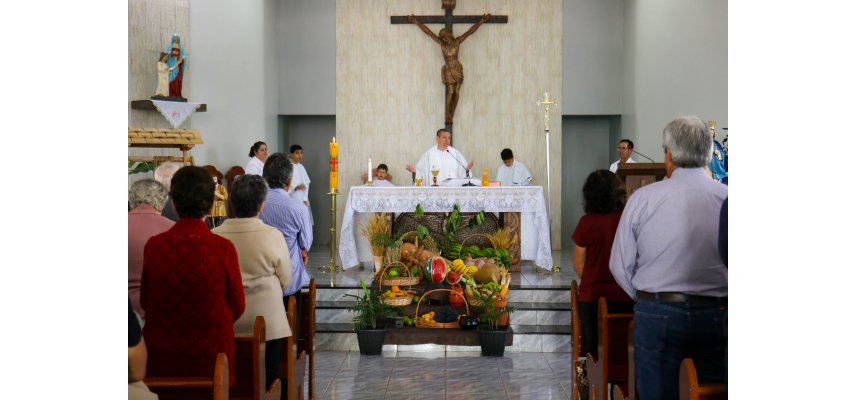 Missa em Ação de Graças pela Colheita é realizada em Anahy