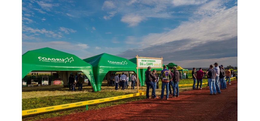 Dia de Campo Descentralizado da Unidade Pensamento destaca expansão da Coagru