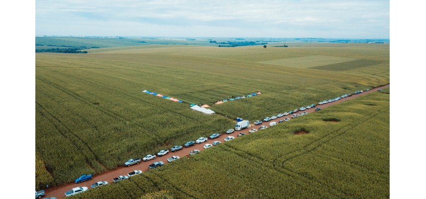 Adubação Foliar no Milho é tema dos Dias de Campo Descentralizados da Coagru