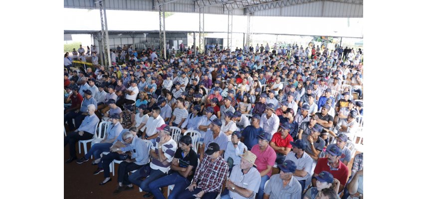 Dia de Campo Coagru de Safra Verão superou expectativas