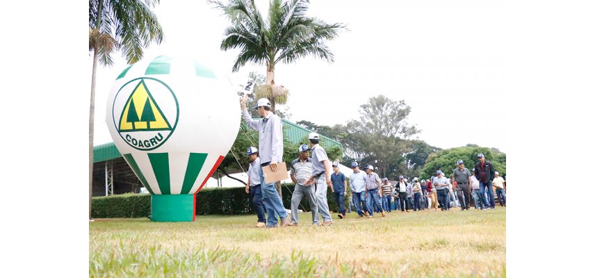 Dia de Campo de Milho 2ª Safra se consolida como referência para os cooperados da Coagru