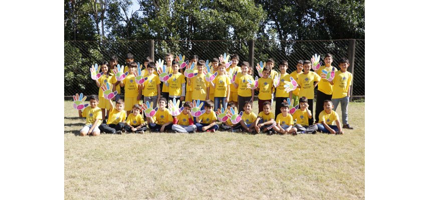 Cooperativas se unem para o Dia C 2018