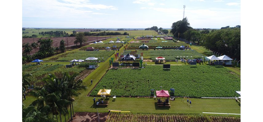 Dia de campo Coagru - compromisso da Cooperativa em levar pesquisa e inovação aos seus cooperantes
