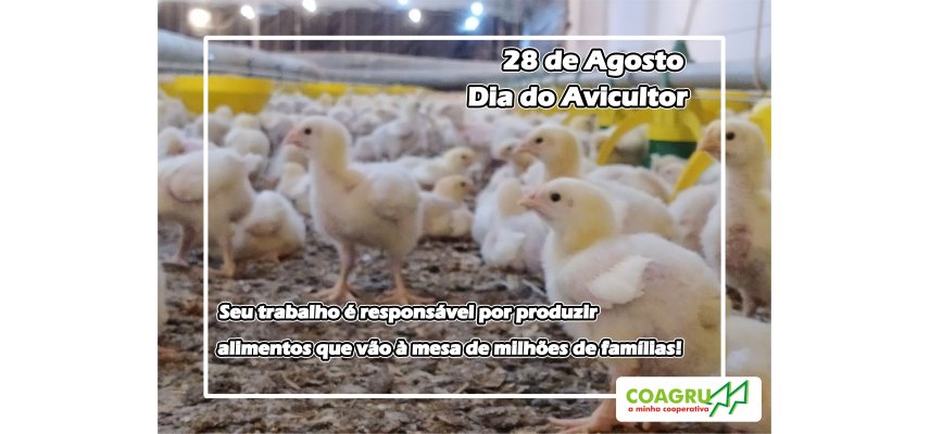 Dia do Avicultor