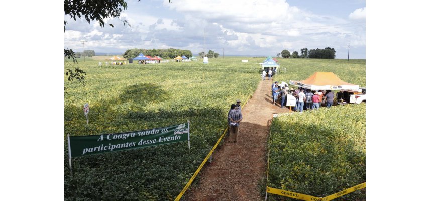 Dias de Campo Descentralizados Movimentaram as Unidades da Coagru