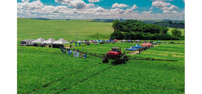 Dias de Campo Descentralizados levam inovação e conhecimento técnico às propriedades dos associados