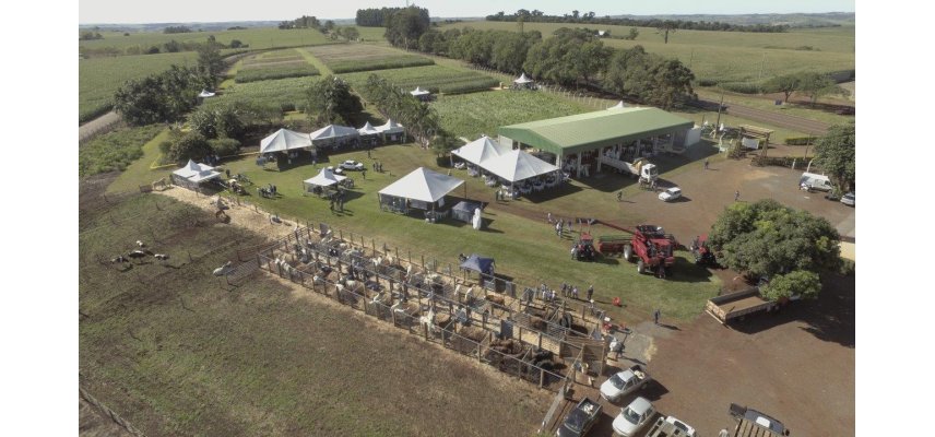 Porteiras abertas para o 4º Dia de Campo do Pecuarista Coagru