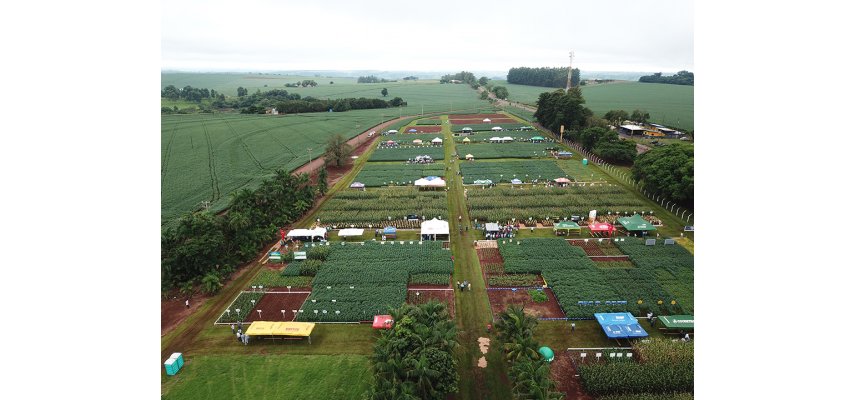 Dia de Campo de Verão mostra desafios e soluções tecnológicas