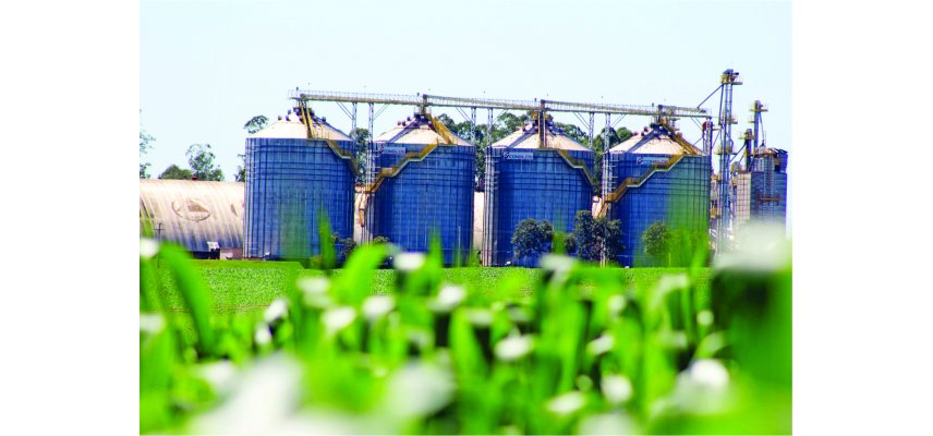 Panorama das culturas da Soja 2020/2021 e Milho 2ª safra 2021 