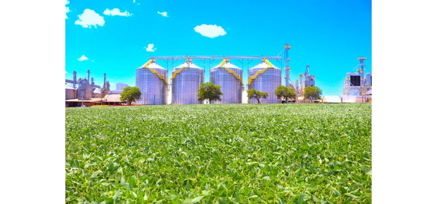 Coagru: cooperativa recebe o maior volume de cereais de sua história