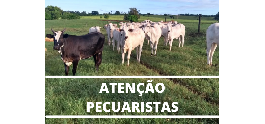 Orientação aos pecuaristas sobre casos de raiva em animais