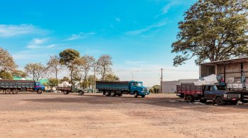 Ação de Recolhimento de Embalagens de Defensivos Agrícolas: Um Compromisso com a Sustentabilidade