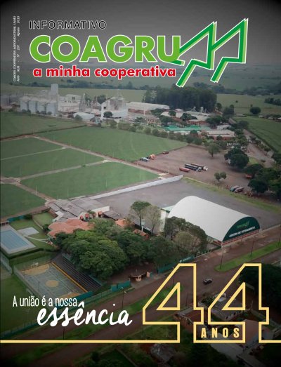 Informativo edição 237 Agosto 2019