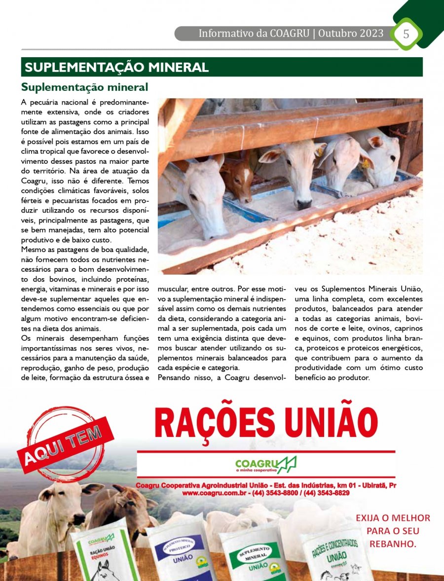 Revista Agrotejo n.º 31 - Ano 2021 by Agrotejo - Issuu