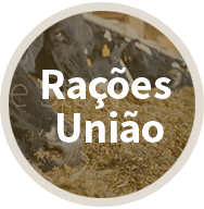Raes Unio