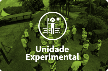 Unidade Experimental