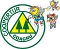 Coopertur
